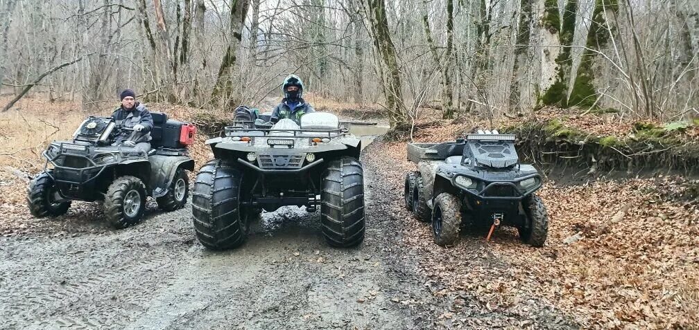 Квадроцикл сокол отзывы. Пилот 54 квадроцикл сокол. 5 квадроцикл. Квадроцикл сокол 2022 года. Снегоболотоход сокол трофи.