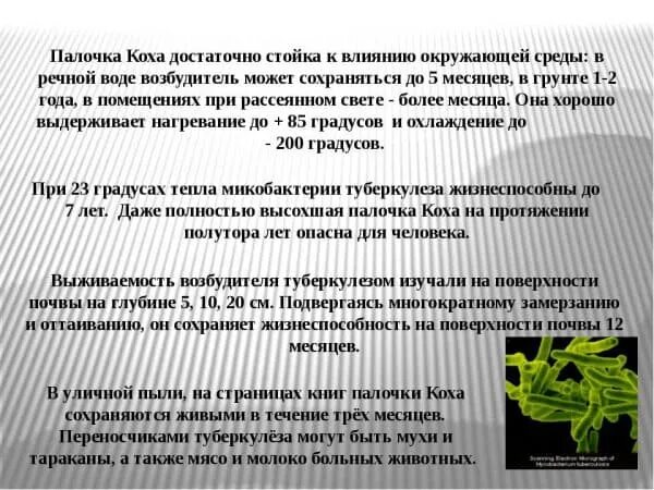 Жидкие отходы больных туберкулезом рвотные массы