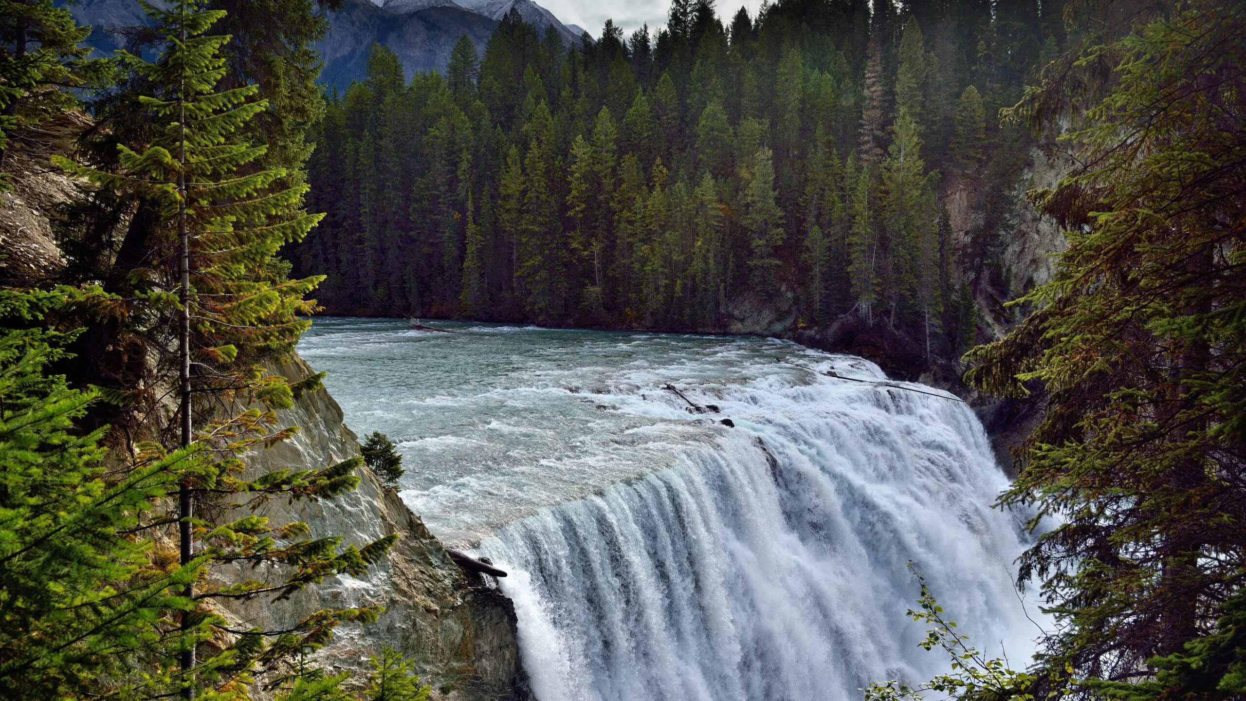 Icefields parkway канада. «горная река» муса. Горные ручьи дагестана. Ферганская долина природа узбекистан. Ферганская долина реки.