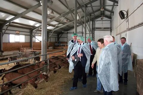 Департамент животноводства и племенного дела минсельхоза