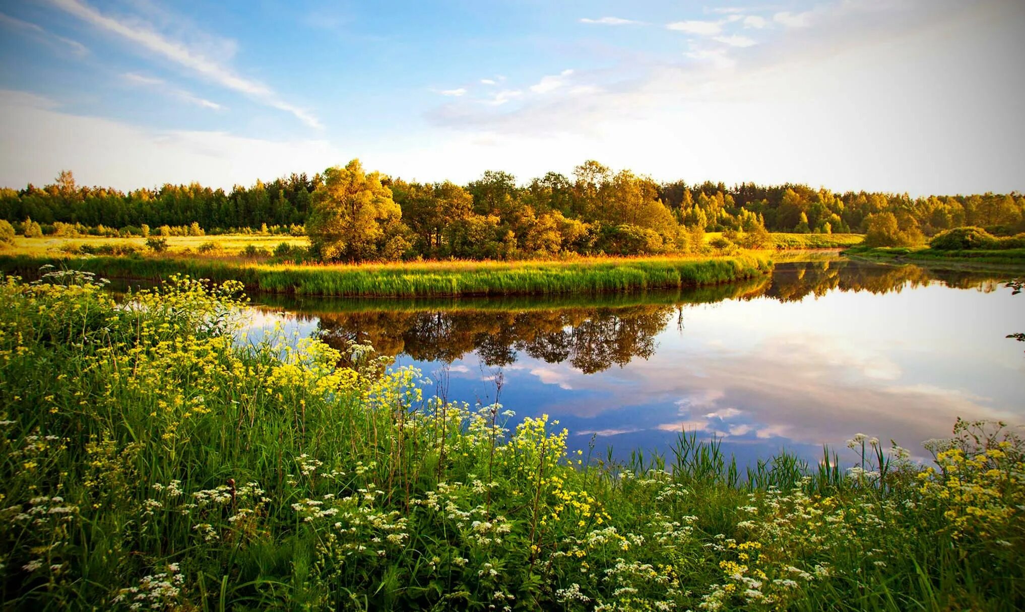 Озеро теняк. Счастливый человек. Селигер валдайская возвышенность. Девушка на лугу. Озеро валдай новгородская область.