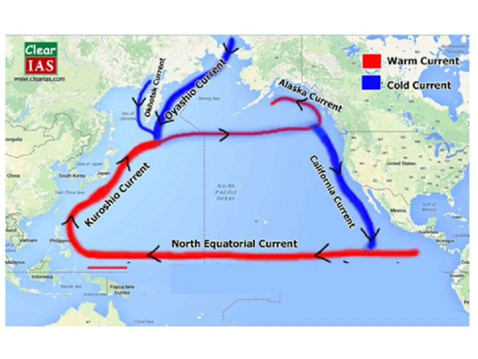 Морских течений действует в тихом океане. Сахалин течения морские. Теплое течение Сахалин. Течнния вокруг Сахалин. Куросио течение на карте.