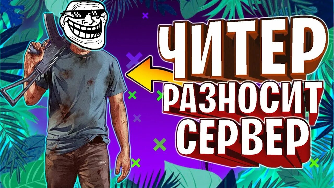 Читером отзывы. Читером отзывы. Читер 5. Читером отзывы. Дикий школьник.