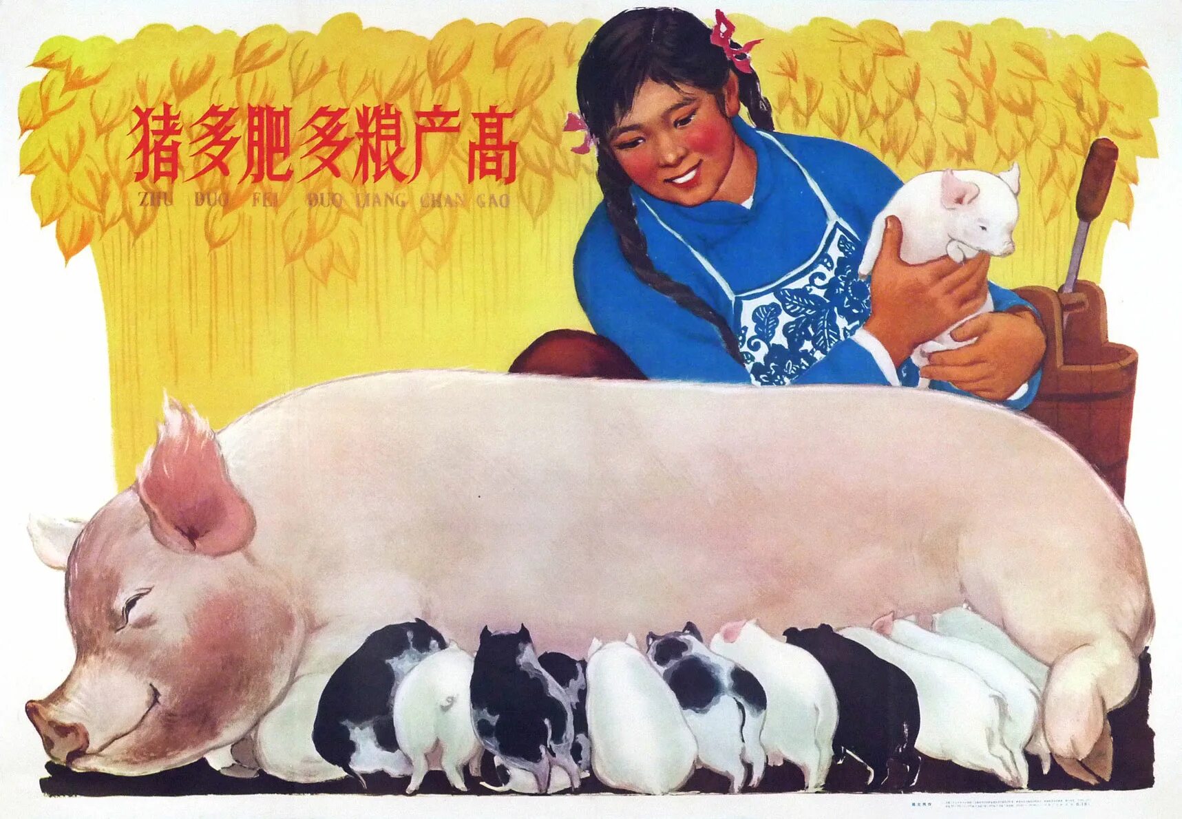 свинья в китае