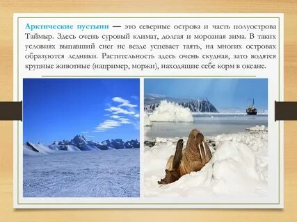 Сходства арктических пустынь евразии и северной америки