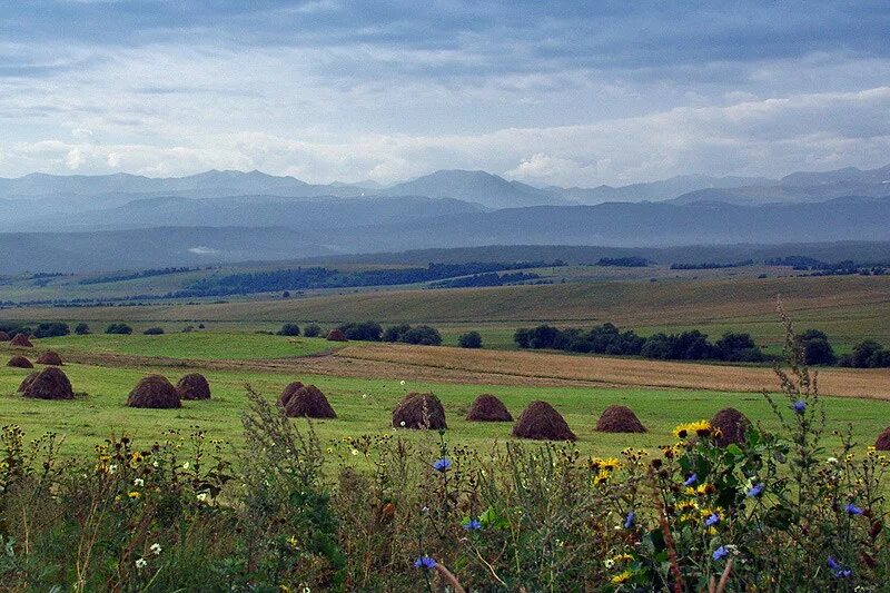 горы кавказа карачаево черкессия. ставропольский край карачаево черкесская. карачаево-черкесская республика. карачаево черкесия город учкекен. ермоловка кчр.