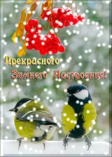 Хорошего дня с последними днями года