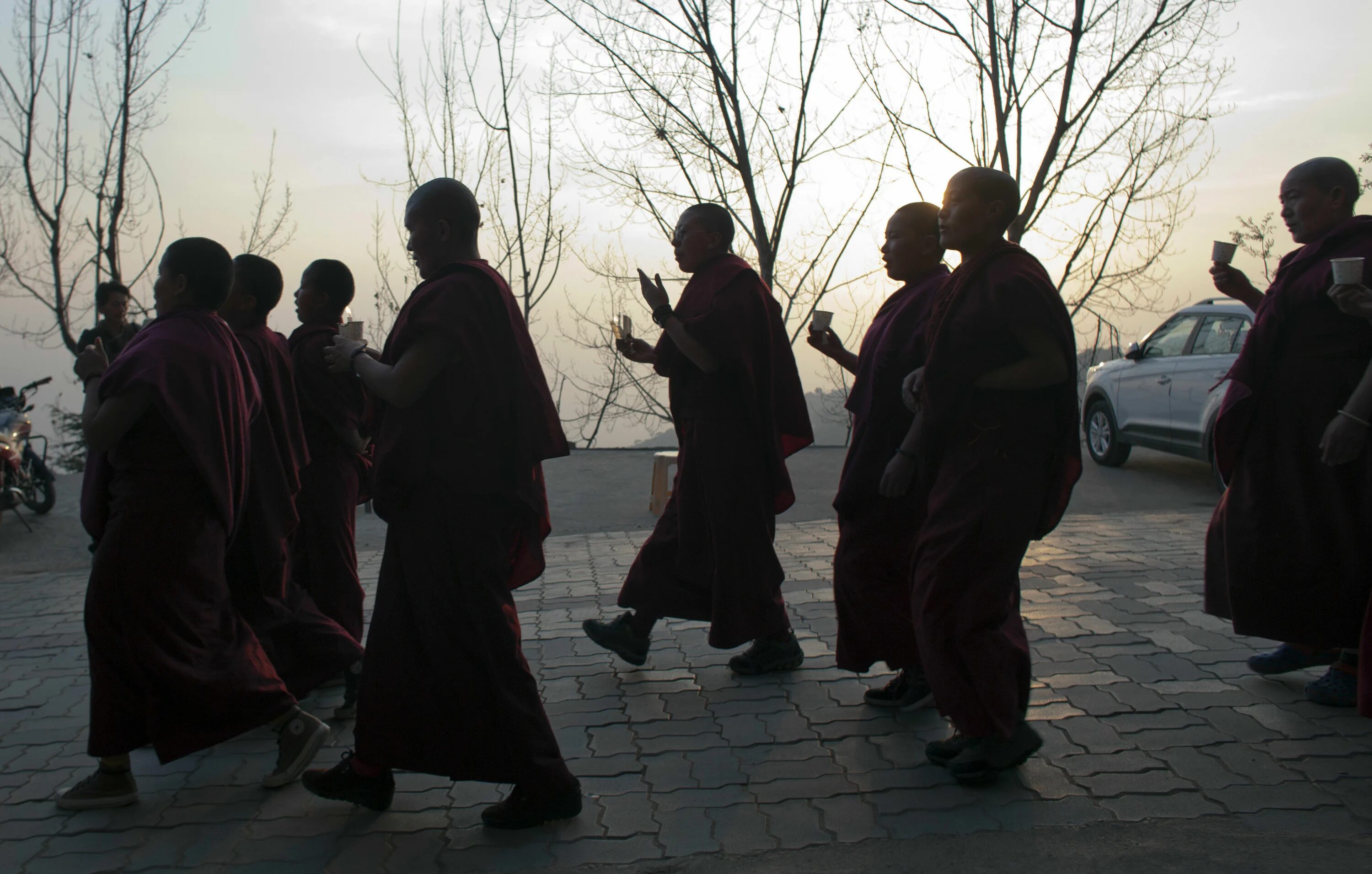Почему индийские монахи делали посох многогранным. Тибетские монахи. Индия монахи.