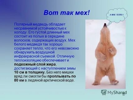 Что значит полые
