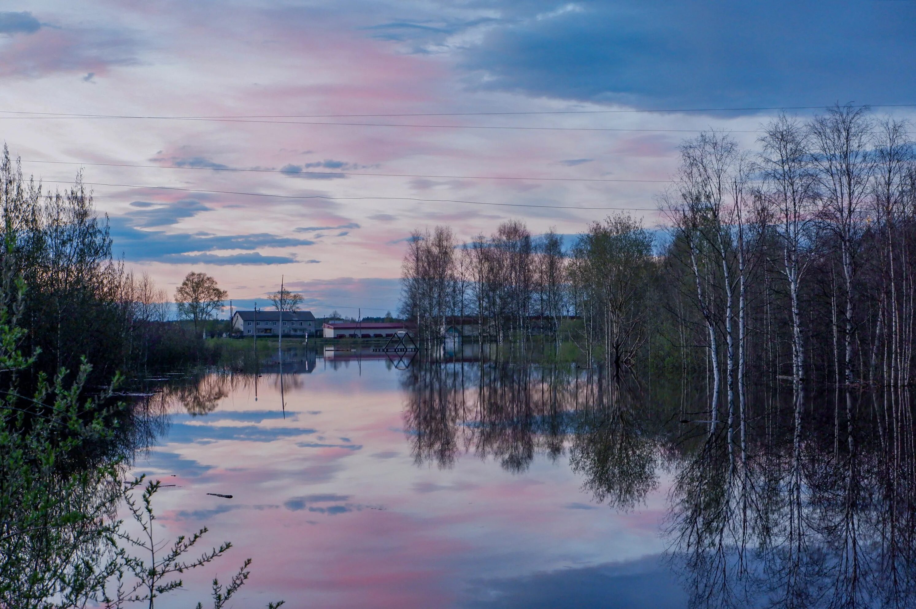 кенозерский парк архангельская область зимой. вилегодский район архангельской области зима. архангельская область март. весенняя природа севера. лявля архангельск река.