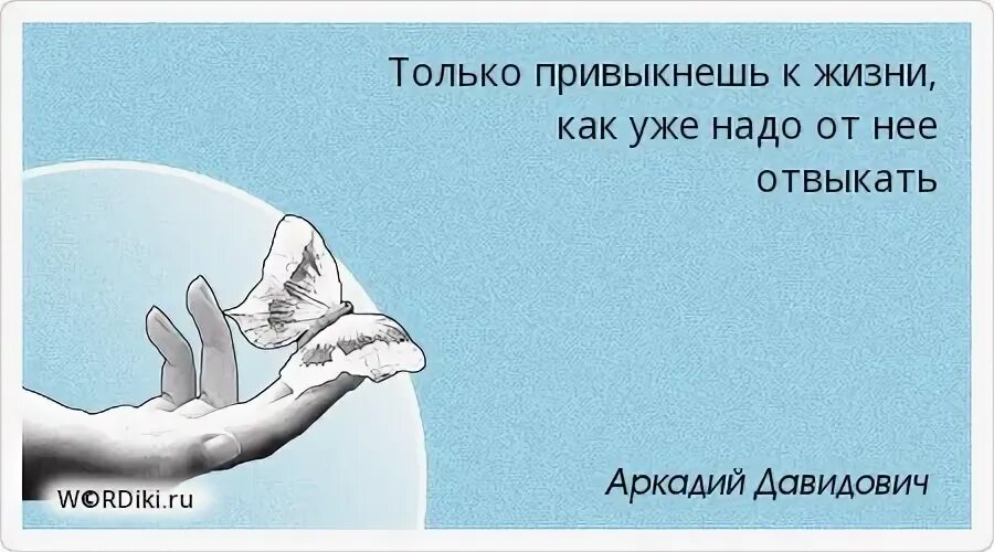 Поскольку именно в это время. Эх люди люди. Вопросы крови самые сложные вопросы в мире цитата. Нужно быть полным идиотом чтобы верить всему тому что происходит.