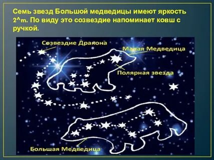 Большая и малая медведица детям