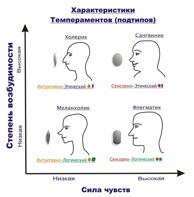 Сенсорно этический. Типы личности в психологии холерик сангвиник. Типы личности холерик сангвиник флегматик меланхолик. Типы характера сангвиник холерик флегматик меланхолик. Типы личности меланхолик сангвиник.