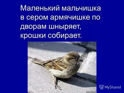 Маленький мальчик в лифте