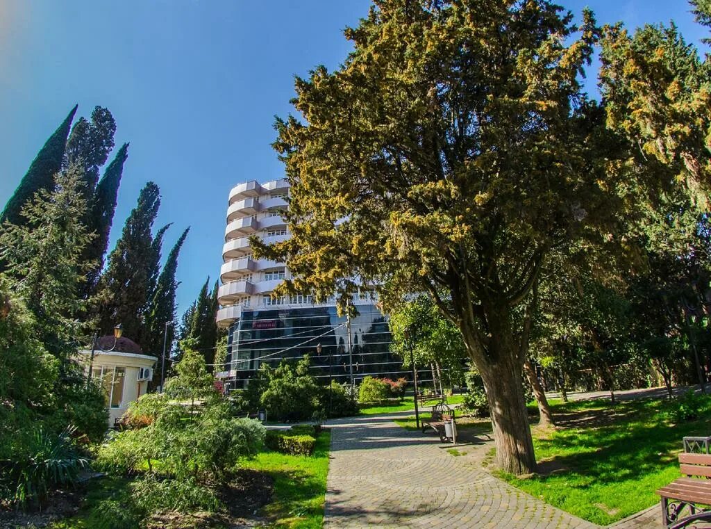 либерти флай адлер. отель либерти адлер. Liberty fly отель адлер. либерти флай адлер. отель "liberty fly".