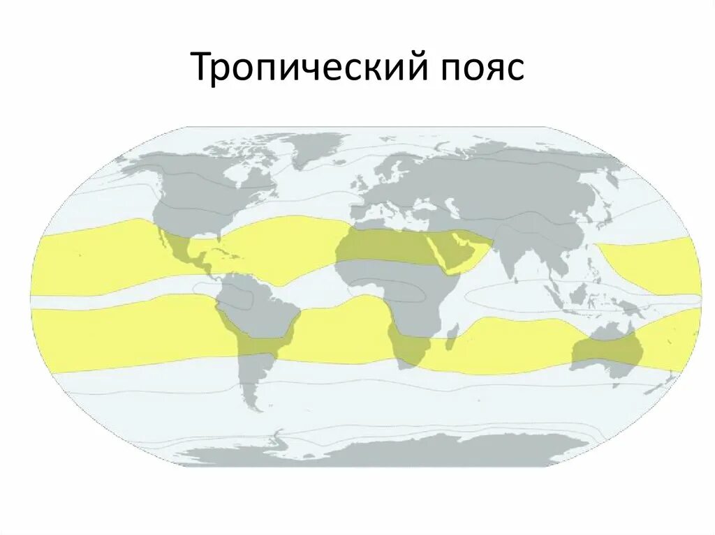 Климатических пояса субтропики и Тропик.