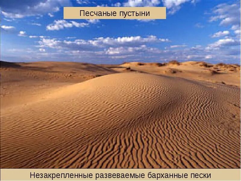 Экологические проблемы зоны пустынь и полупустынь. Полупустыни и пустыни русской равнины. Национальные парки пустынь и полупустынь. Песчаный или песчанный. Полупустыни пустыни Плешаков.