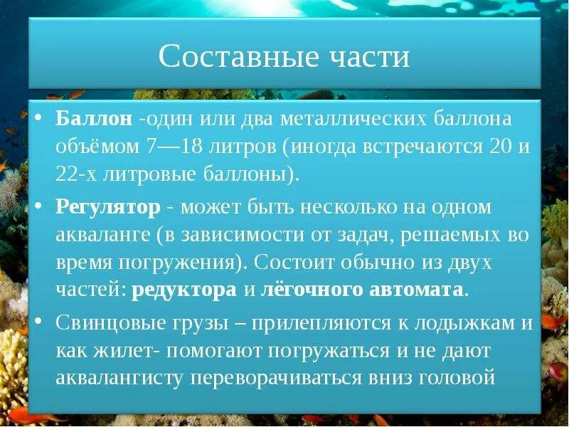 Снаряжение аквалангиста. Акваланг заимствованное слово. Заимствования в русском языке. Акваланг 1943г жак ив кусто. Словарная статья на тему акваланг.