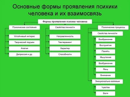 Формы проявления психики процессы