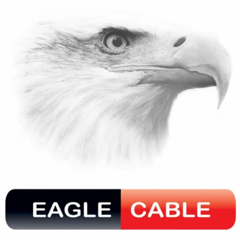 Eagle компания. Eagle Cable логотип. Иглс компания. Орела фирма.