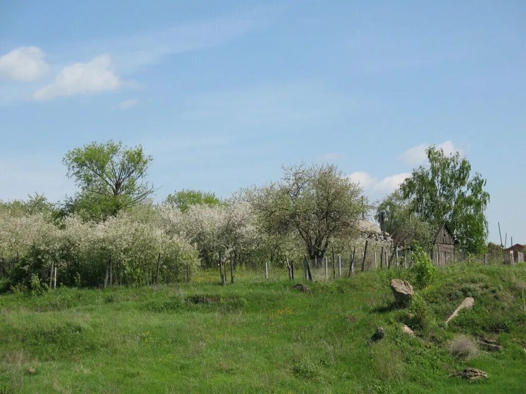 Церковь в протопопово томск. Село протопопово. Древности села веськова. Троицкий храм в протопопово. Деревня протопопово буинский район.