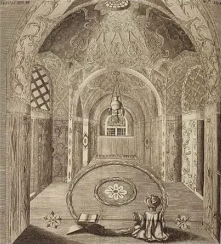 Пеларгония густомахровая mary. Жемчужина шах сафи. Хасан шах-сафи. Жемчужина шах сафи. Жемчужина шах сафи.