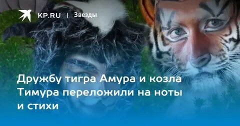 Почему снегурочка дружит с тигром вопрос