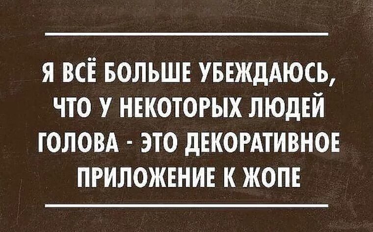 Статус глупые. Сарказм юмор цитаты. Смешные цитаты. Смешные цитаты про людей. Меткие фразы с юмором.