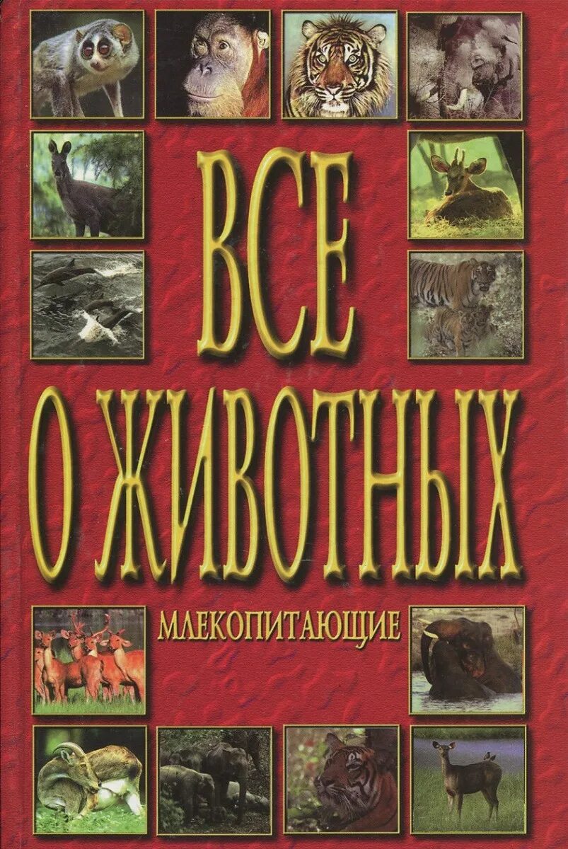 Книга млекопитающие россии. Книга млекопитающие. Книга все о животных. Книжка у млекопитающих. Энциклопедия. Млекопитающие.