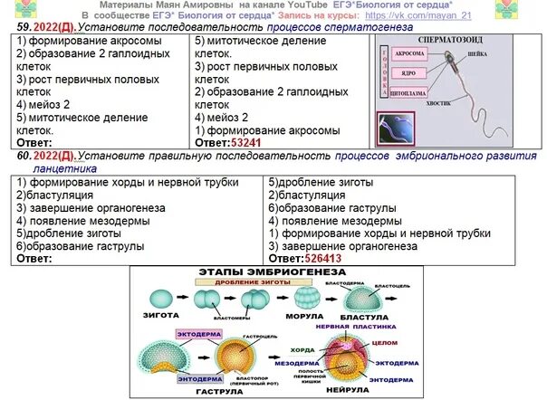 Темы по биологии для ЕГЭ 2024. ЕГЭ биология задания. Задания ЕГЭ по биологии 2022. Структура заданий ЕГЭ по биологии.