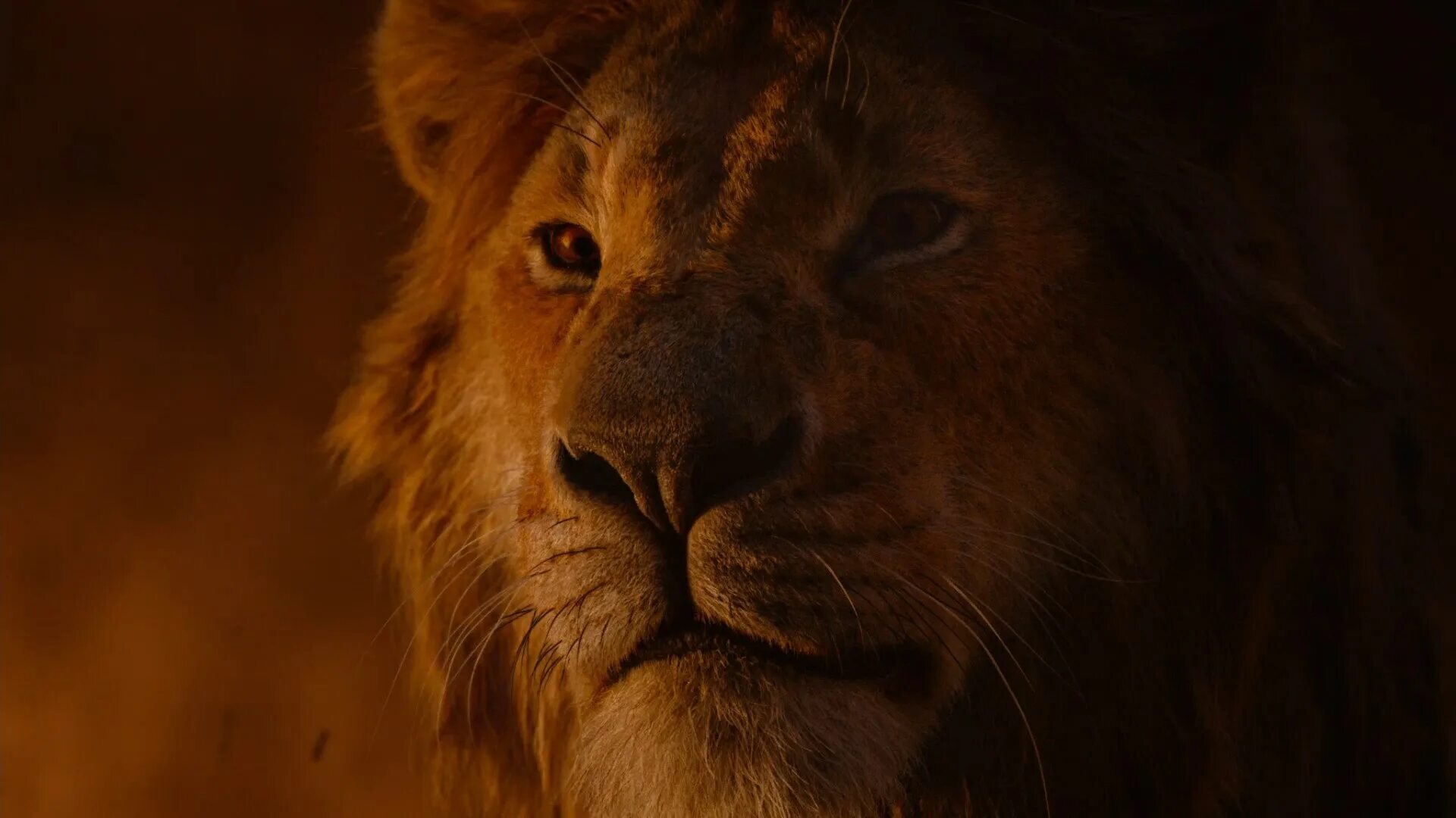 Король лев 2019 года. Король Лев 2019. Король Лев 2019 Симба.