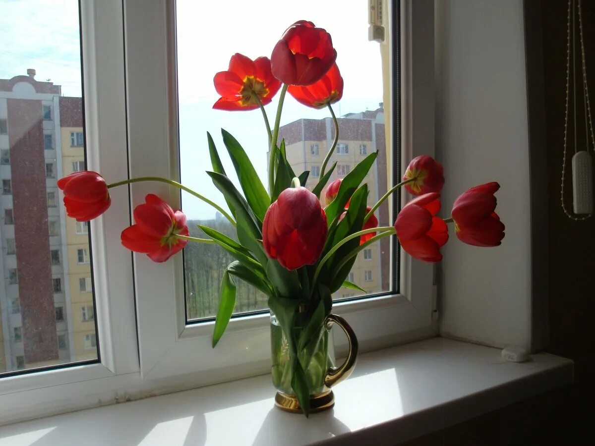 Цветы на окне. Тюльпаны на подоконнике. Букет цветов на подоконнике. Тюльпаны в вазе на подоконнике.