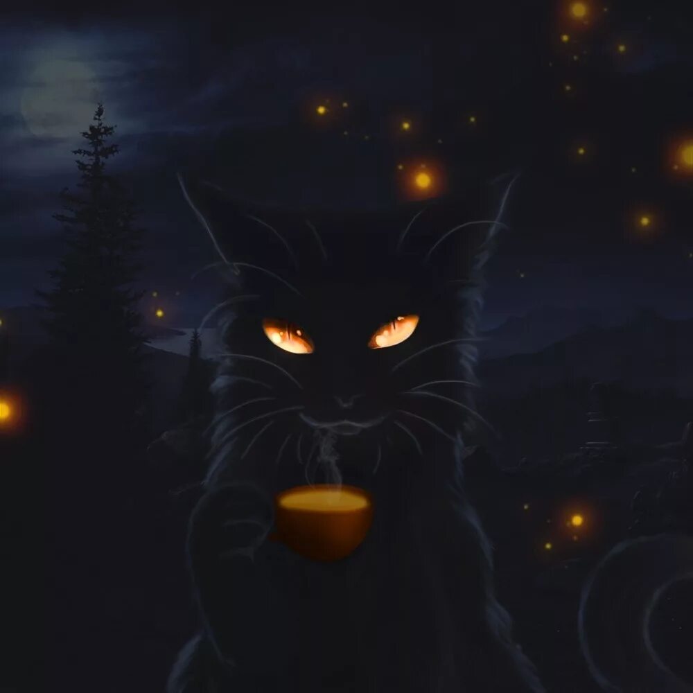 Кипишь в ночью. Коты Воители ночь. Ночной кот. Чёрный кот арт. Черный кот ночью.