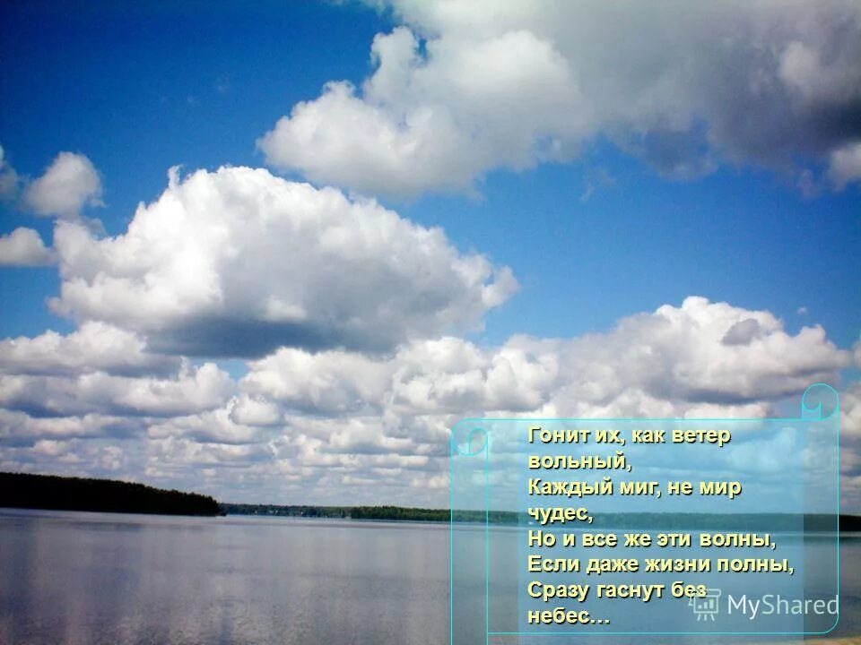 я вольный ветер стих. ветер картинка. ветер вольный ветер шапку. ветер вольный ветер шапку. одинокий воин в поле.