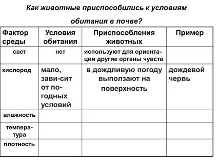 Условия обитания животных