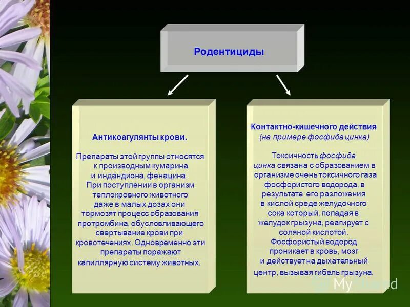 классификация родентицидов. родентициды препараты от крыс. зооцид от грызунов. антикоагулянтные родентициды. ядохимикаты для уничтожения грызунов.
