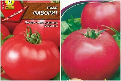 Описание сорта фаворит