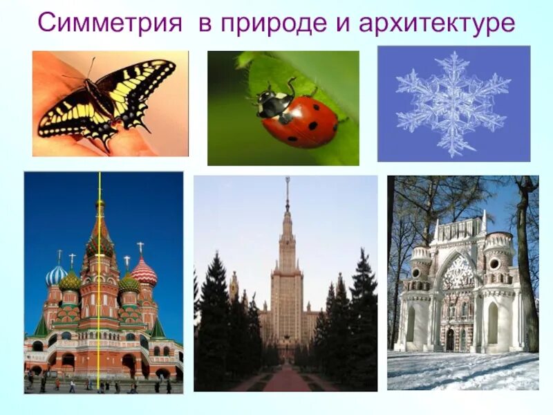 Предметы имеющие ось. Симметрия в природе. симметрия в природе и архитектуре. осевая симметрия в природе и архитектуре. симметричные предметы в природе.