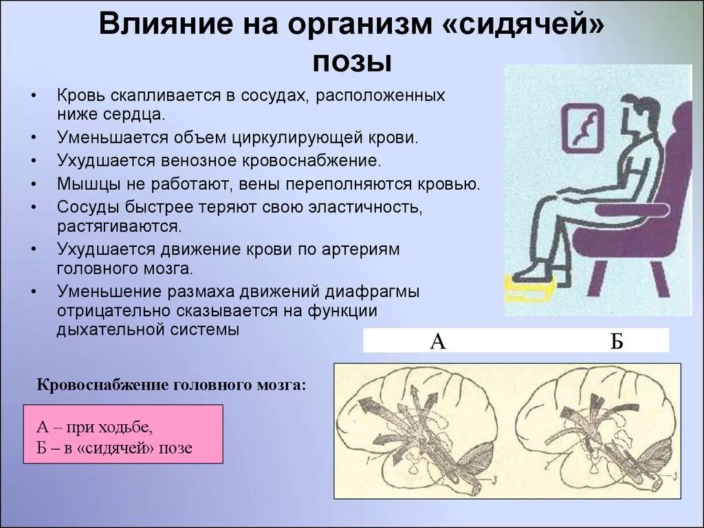 Ведет сидячий образ жизни. Влияние на организм «сидячей позы». Влияние малоподвижного образа жизни на организм человека. Болезни сидячего образа жизни. Сидячий образ жизни последствия.