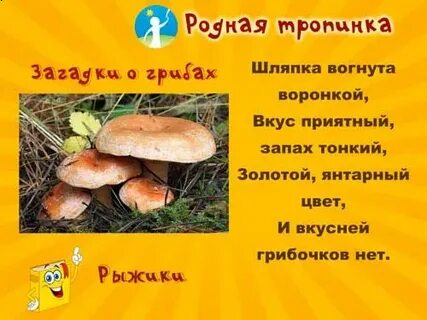 Стихи про грибы короткие