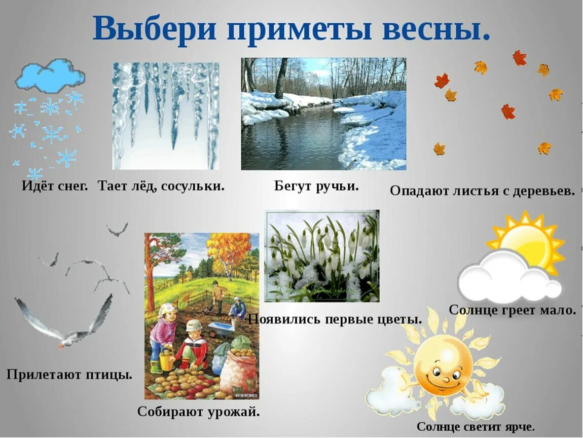 Какие весенние явления природы. Приметы весны для дошкольников. Весенние приметы для дошкольников. Приметы ранней весны для дошкольников.