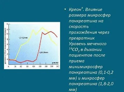 Профессор В А Родионов Человек живет