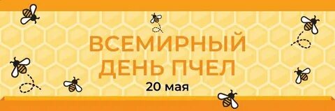 0 may