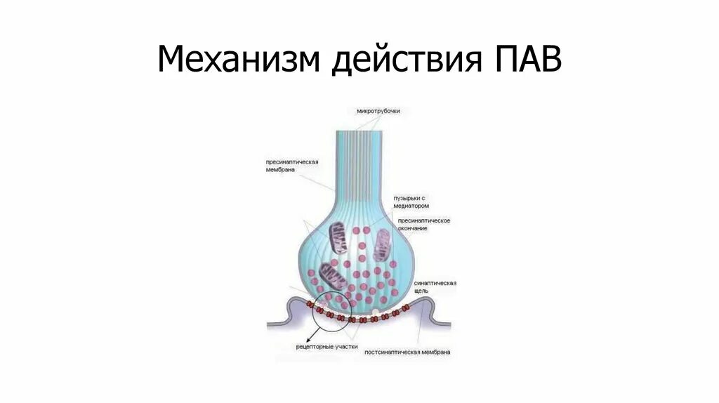 Механизм действия пав. Схема действия пав. Принцип действия пав. Механизм действия поверхностно-активных веществ.