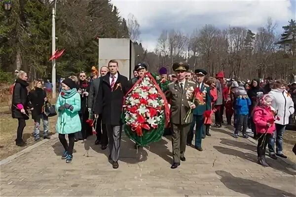 Зеленогорский городской сайт. 9 Мая Зеленогорск. Шествие в Зеленогорске СПБ. 9 Мая в Зеленогорске СПБ. Галерея стрелок Зеленогорск.