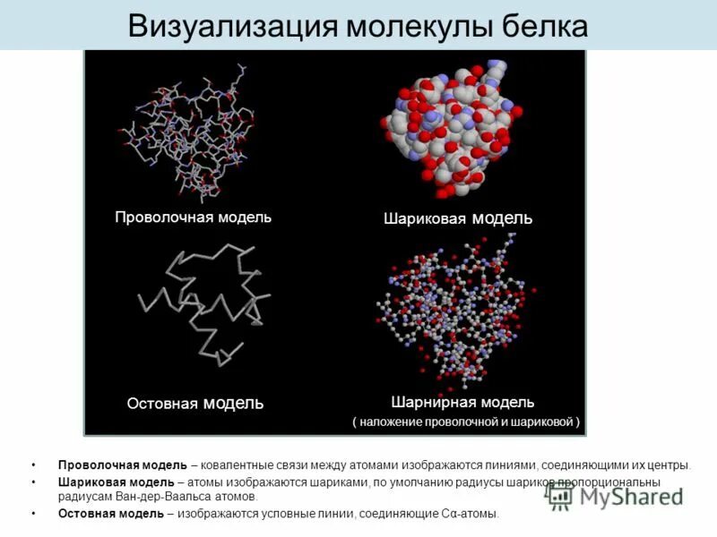 Линейная молекула белка