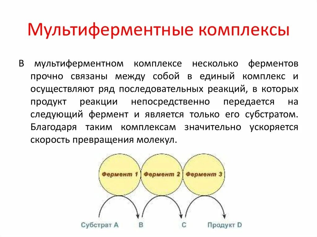 Понятие биохимии. Мультиферментный комплекс биохимия. Мультиферментные системы биологическая роль. Мультиферментные комплексы и их роль в метаболизме. . Изоферменты, мультиферментные системы.