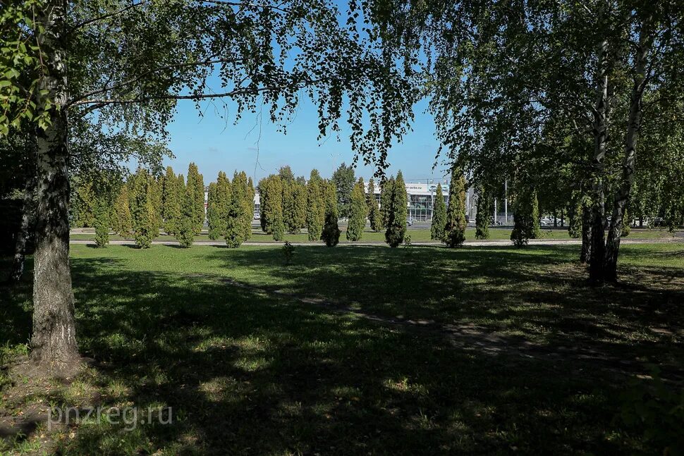Сквер 40-летия победы в пензе. Парк 40 летия победы пенза арбеково. Парк победы казань. Парк победы пенза. Сквер 40 лет победы пенза.