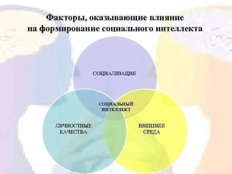 Факторы развития эмоционального интеллекта. Факторы, влияющие на развитие интеллектуальных способностей. Факторы влияющие на формирование эмоционального интеллекта. Развитие социального интеллекта. Социализация в духовной сфере