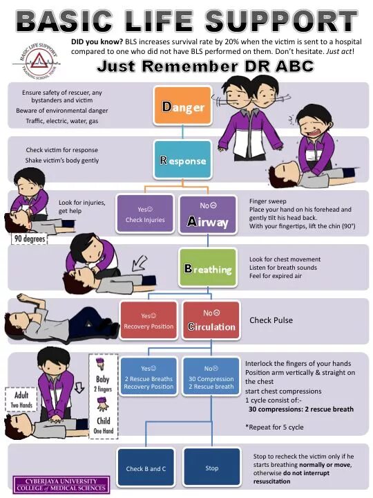 Support rating. Basic Life support. Basic Life support "BLS". Basic Life support картинки. BLS алгоритм.